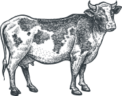 The Milking Parlour - Longton Village
