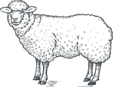 The Lambing Barn - Longton Village
